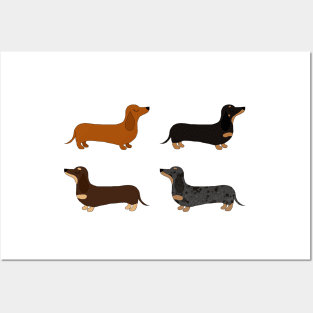 Dachshund Patterns Posters and Art